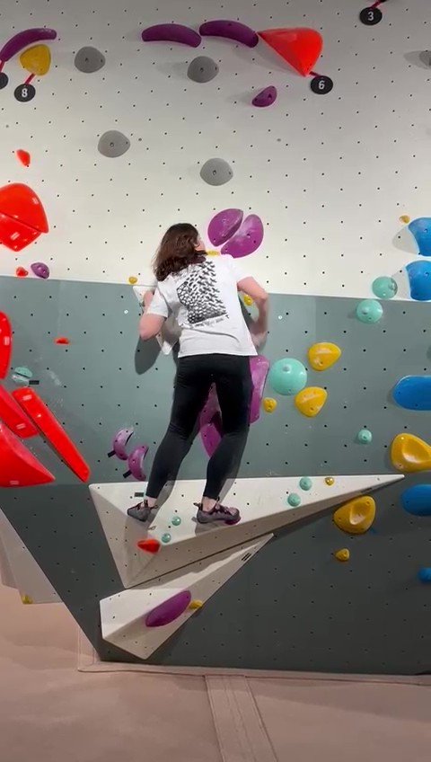 Beest Delft slab boulder