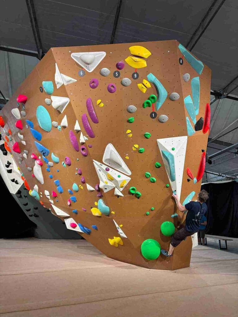 Beest Delft boulderen