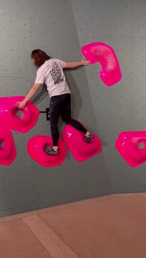 Beest delft nieuwe boulderhal