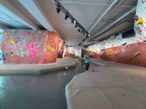 Beest boulder Den Haag Centrum